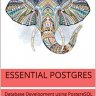 [BOOK]Essential Postgres: Database Development using PostgreSQL Kindle Edition