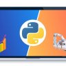 Python Bootcamp 2021: Learn Python programming with examples
