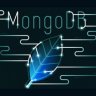 Mongo GoLang Go Python PHP Node React Management Interface