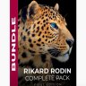 Nucly - Rikard Rodin Complete Pack
