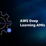 AWS Ami Deep Learning Instances Frameworks