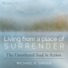 Michael Singer - Living From a Place of Surrender