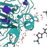 Molecular Dynamic Simulations for Drug Discovery